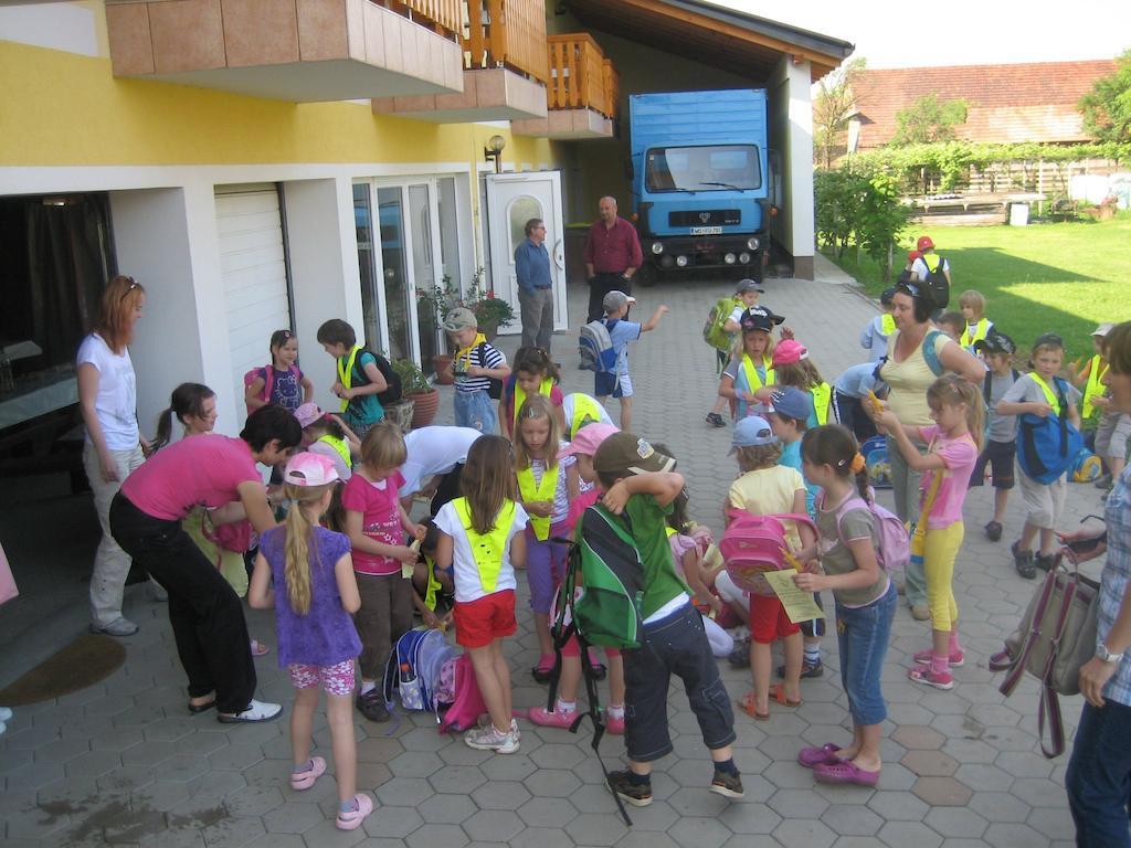 Villa Tourist Farm Salamun Banovci Esterno foto
