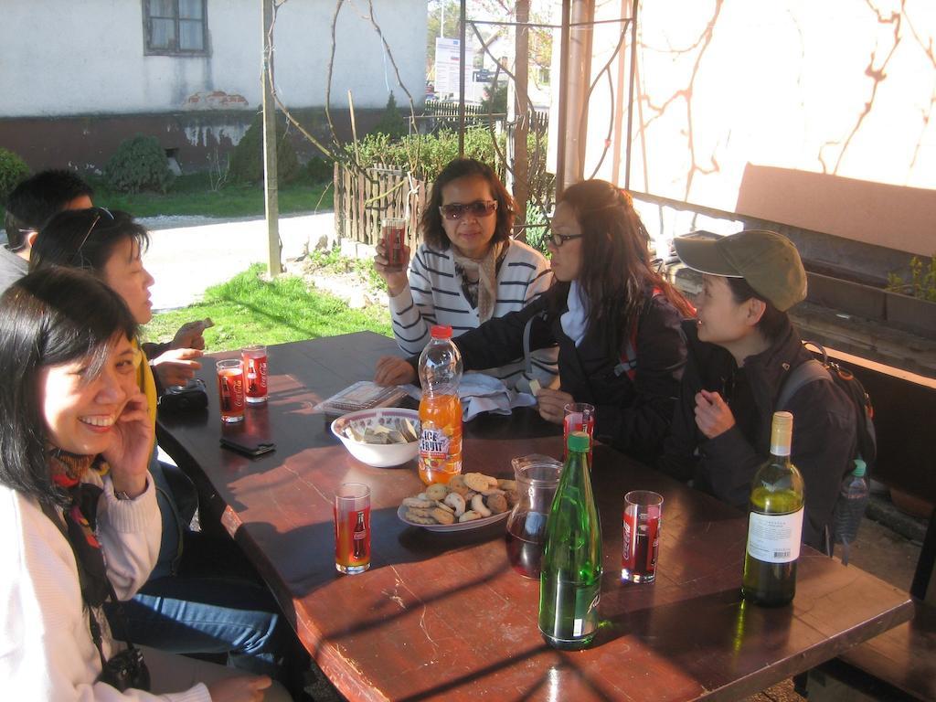 Villa Tourist Farm Salamun Banovci Esterno foto