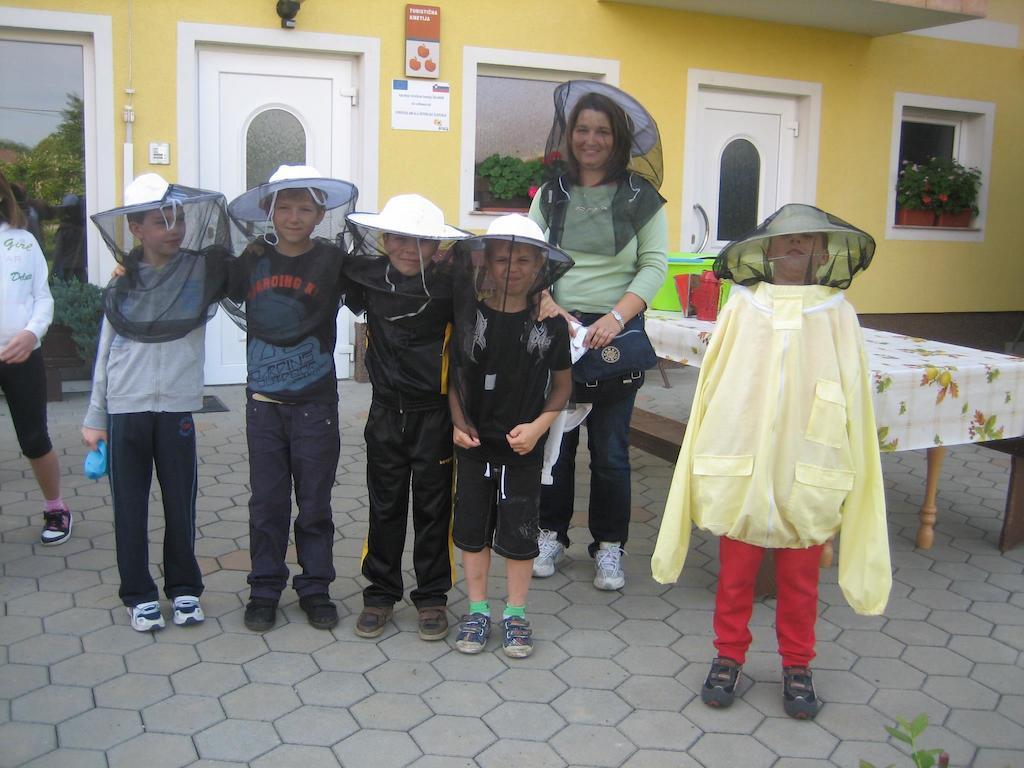 Villa Tourist Farm Salamun Banovci Esterno foto