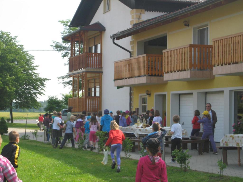 Villa Tourist Farm Salamun Banovci Esterno foto