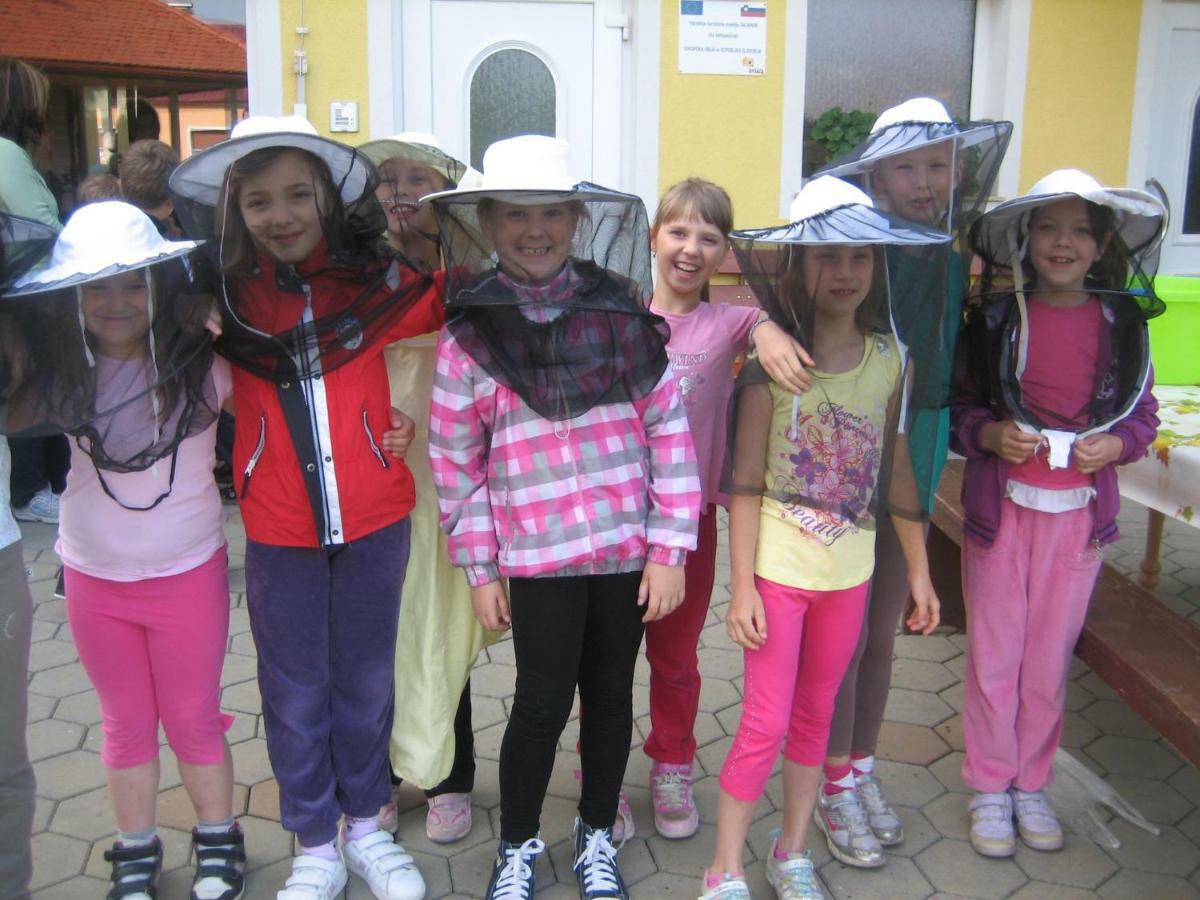 Villa Tourist Farm Salamun Banovci Esterno foto