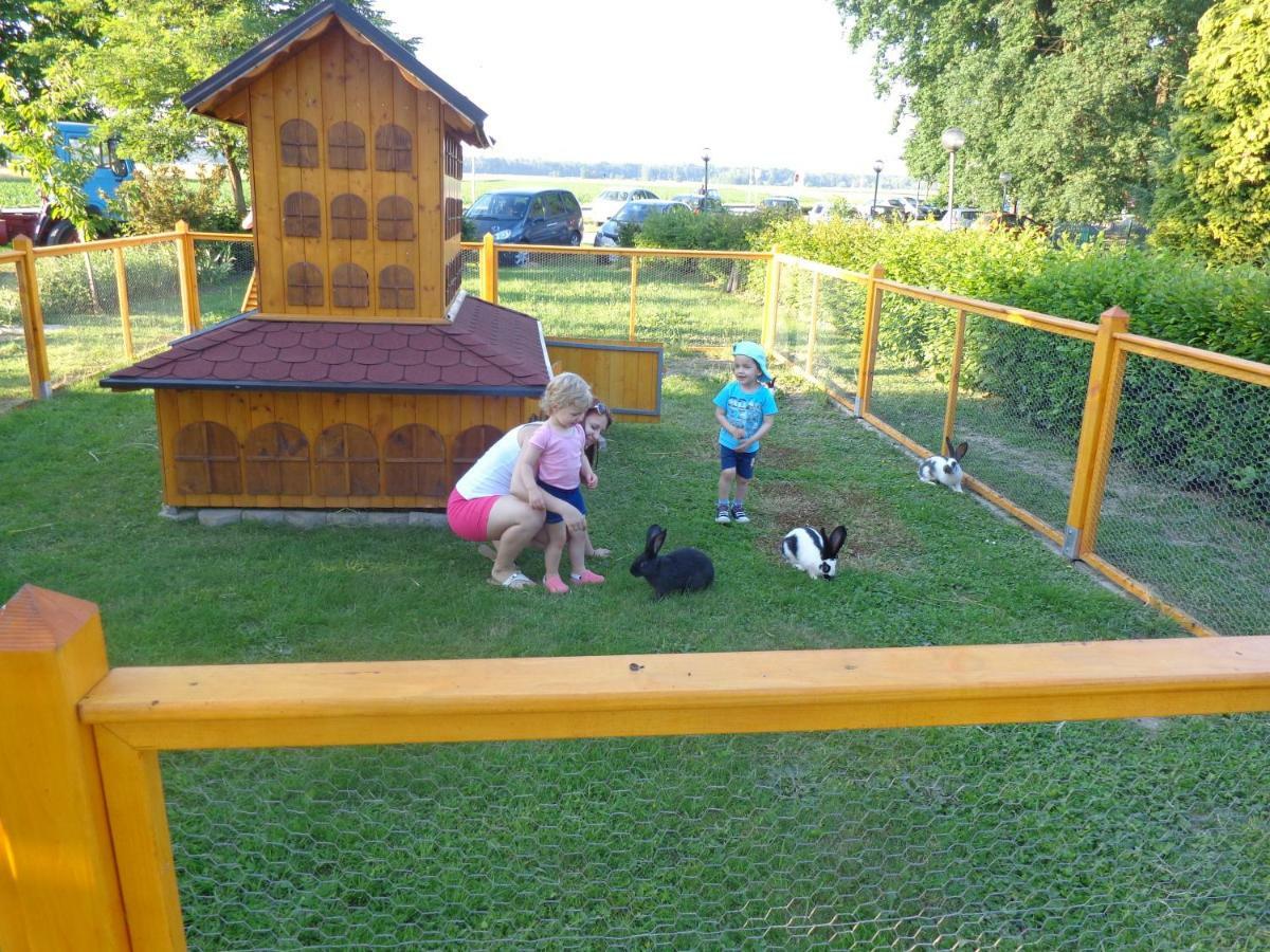 Villa Tourist Farm Salamun Banovci Esterno foto